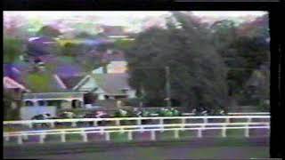 1977 Oakleigh Plate [upl. by Ciapha]