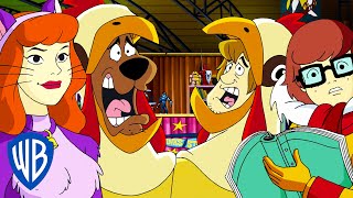 ScoobyDoo en Français  ScoobyDoo déchire tout  WB Kids [upl. by Max350]