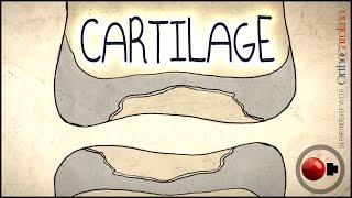 Cartilage Science Explained [upl. by Annohsal121]