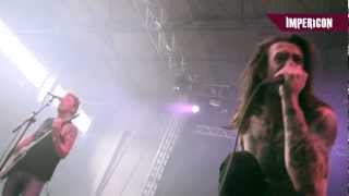 While She Sleeps  Crows Official HD Live Video [upl. by Reedy273]