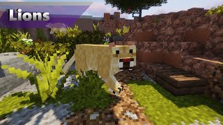 Lions  Alexs Mobs Zoo Minecraft 1165 Zoo [upl. by Victoria464]