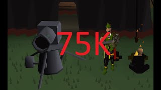 Osrs Cannon Guide for pures [upl. by Aehcim]