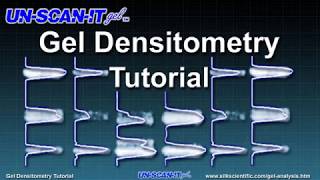 Gel Densitometry Tutorial [upl. by Timofei]