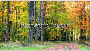 Temperate Forest Deciduous Forest Temperate Biome Facts [upl. by Hooge639]