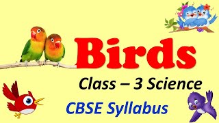 Birds  Beaks  Nests  Claws  Food  CBSE  Class 3  Science ICSE  NCERT  SCIENCE [upl. by Sedinoel]