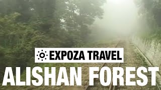 The Alishan Forest Railway Vacation Travel Video Guide [upl. by Nottarts]