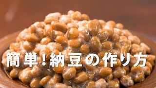 納豆のつくり方～納豆菌を使った簡単！納豆づくり～How to Make Natto  Homemade Natto Recipe [upl. by Anaujait993]