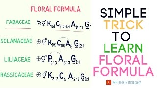 Floral Formula for NEET AIIMS AIPMT JIPMER [upl. by Aicrop572]