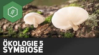 Symbiose – Ökologie 5 [upl. by Nyltiak177]