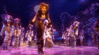 Broadway Montage  Cats the Musical [upl. by Eednil962]