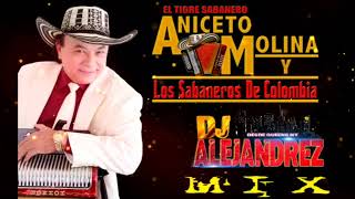 ANICETO MOLINA  MIX [upl. by Tor]