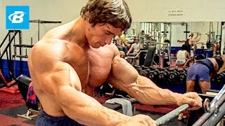 How To Train For Mass  Arnold Schwarzeneggers Blueprint Training Program [upl. by Esinal44]