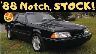 Stock 88 Mustang LX NotchBack Review For Sale [upl. by Lindy322]