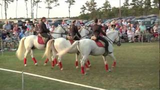 Herrmanns Royal Lipizzan Stallions [upl. by Carmena]