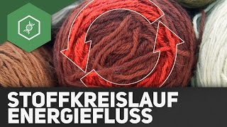 Stoffkreisläufe und Energiefluss  Ökologie [upl. by Farly]