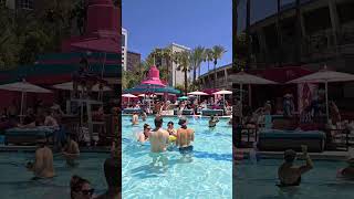 Flamingo pool Las Vegas [upl. by Milty]