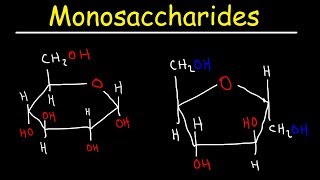 Monosaccharides  Glucose Fructose Galactose amp Ribose  Carbohydrates [upl. by Noruq]