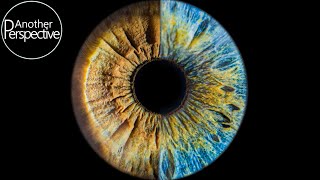 Eye Photography  How to take a sharp Image of your Iris [upl. by Hunt399]