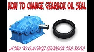 HOW TO CHANGE GEARBOX OIL SEAL [upl. by Arimihc]