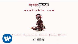 Kodak Black  Purp Official Audio [upl. by Hsihsa102]