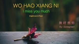 Wo Hao Xiang Ni lyric I Miss You Much  Pinyin amp English  Learn Chinese by songs [upl. by Etteluap243]