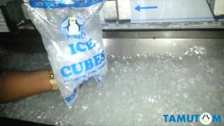 Cube ice maker 2 ton Europan [upl. by Kraul]