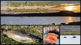 Hardangervidda  Fisketur  Sant [upl. by Grindle695]