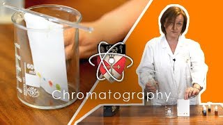 Chromatography  GCSE Science Required Practical [upl. by Jo-Anne]