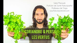 Coriandre amp Persil  LES VERTUS NATUROPATHIQUE [upl. by Lacy]