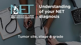 Adrenal Gland Adrenal Cortex Explained Clearly [upl. by Inuat]