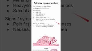 DYSMENORRHEA or PAINFUL MENSES [upl. by Ciprian664]