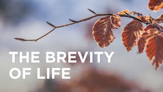 The Brevity of Life — 10142023 [upl. by Blisse]