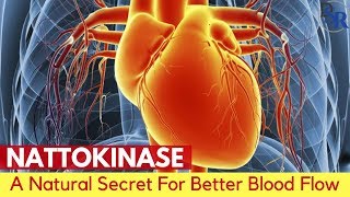 💓 Nattokinase  The Natural Secret For Better Blood Flow Circulation amp Blood Pressure [upl. by Etnaled236]