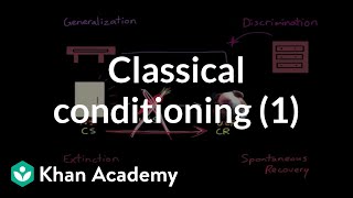 Classical conditioning Extinction spontaneous recovery generalization discrimination [upl. by Ellehcin]