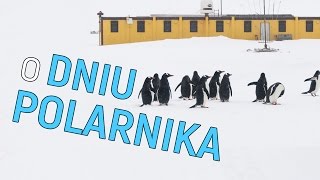 Dzień polarnika  o Antarktyce 02 [upl. by Pironi]