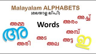 Malayalam Aksharamala  First Words Malayalam alphabet pronunciation and language [upl. by Ahsauqal]