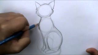 How to draw a basic cat sitting [upl. by Bender211]