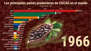 Los principales países productores de CACAO en el MUNDO [upl. by Artined476]