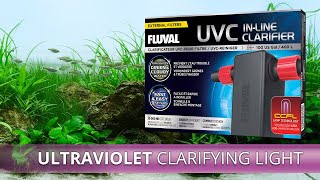 Fluval UVC InLine Clarifier  Unboxing amp Installation [upl. by Steffen]