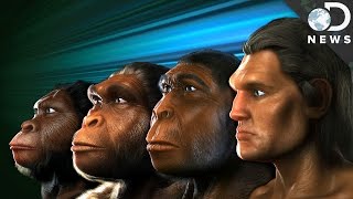 How Do We Know Who Our Human Ancestors Were [upl. by Mansur133]