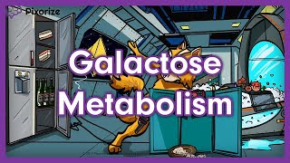 Galactose Metabolism Mnemonic  USMLE Preview [upl. by Paluas]