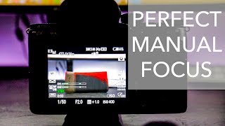 How To Get Perfect Manual Focus Every Time  Sony A7III [upl. by Gwendolen]