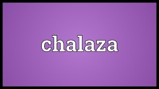 Chalaza Meaning [upl. by Abbott530]