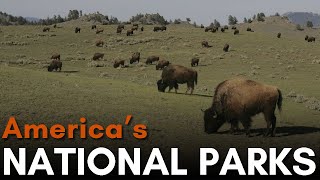 Americas 62 National Parks Explained [upl. by Peper]