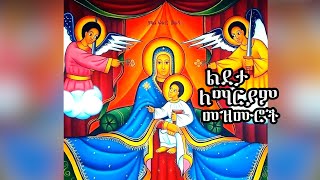 ልደታ ማርያም መዝሙር  Lideta Maryam mezmuroch [upl. by Ayetal755]