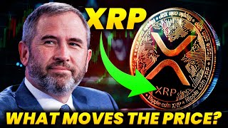 Ripples XRP Key Factors Influencing Its Price [upl. by Atworth737]