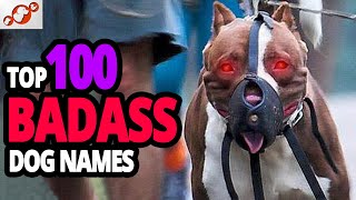 🐕 TOP 100 Badass Dog Names For Male [upl. by Madonna]