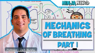 Respiratory  Mechanics of Breathing Pressure Changes  Part 1 [upl. by Sue855]