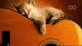 Ultimate Relaxing Guitar Music Collection  playlist [upl. by Frager]