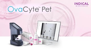 OvaCyte Pet Workflow [upl. by Gautious]